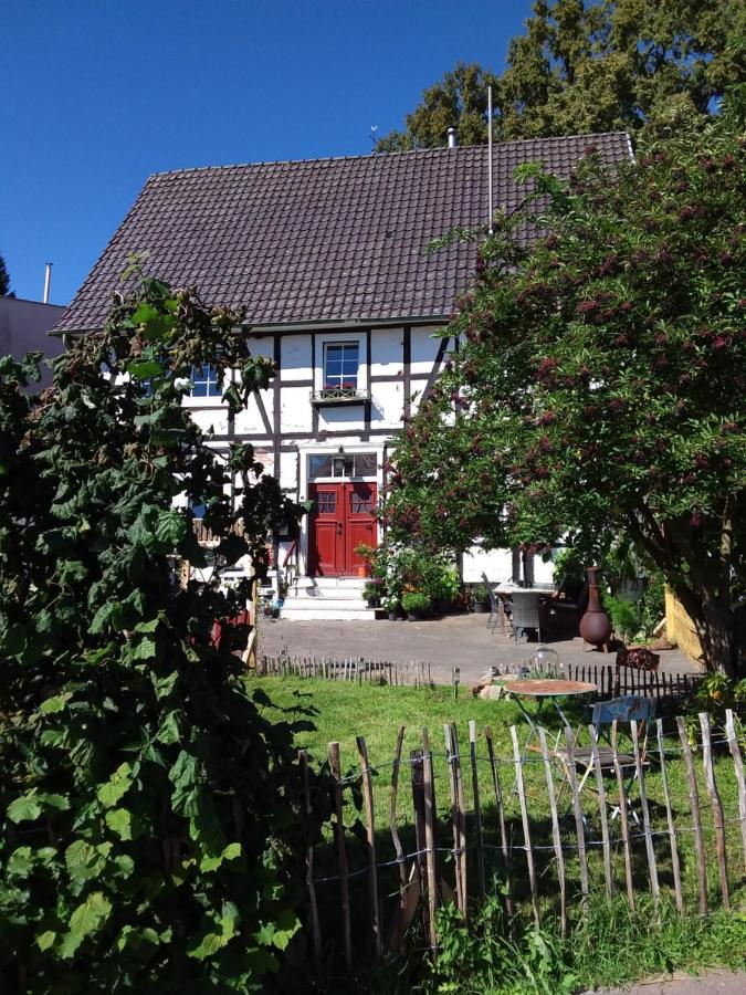 Appartement An Der Bicke Dehringhausen Exterior photo